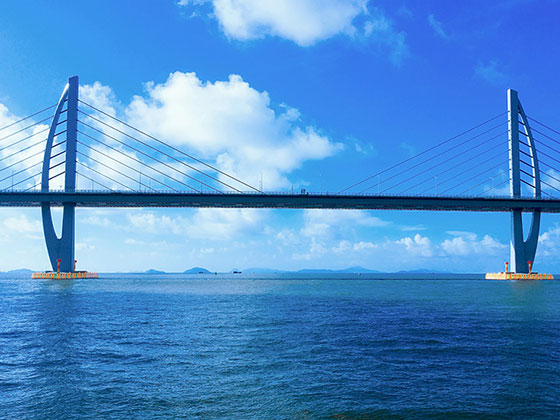 海上觀港珠澳大橋，邂逅中華白海豚